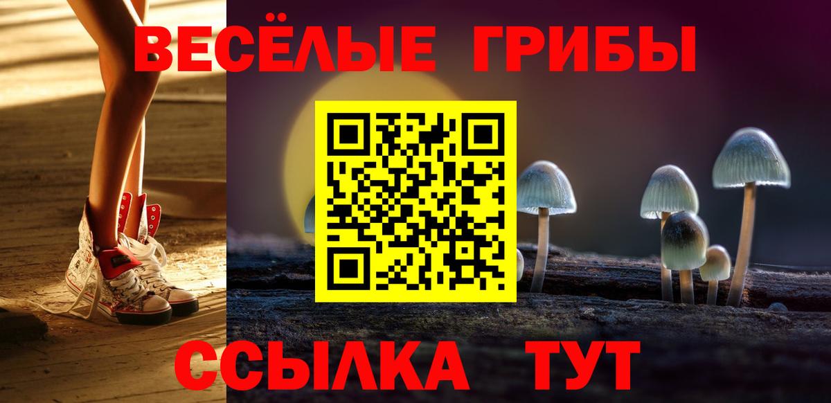 Мелеуз  Галлюциногенные грибы Psilocybe  Вход с VPN 
