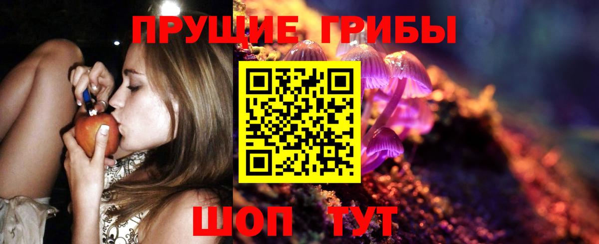 Псилоцибиновые грибы Psilocybine cubensis Мелеуз